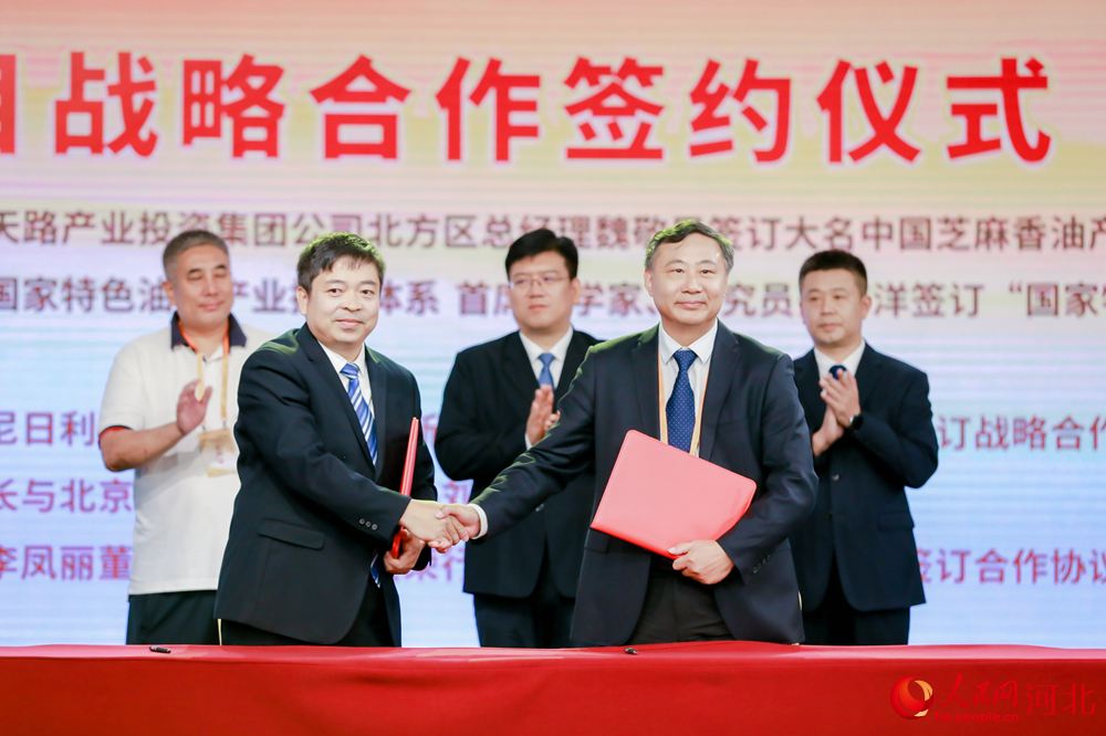 2023中國·大名香油推介會上進行合作簽約儀式。 人民網記者 周博攝