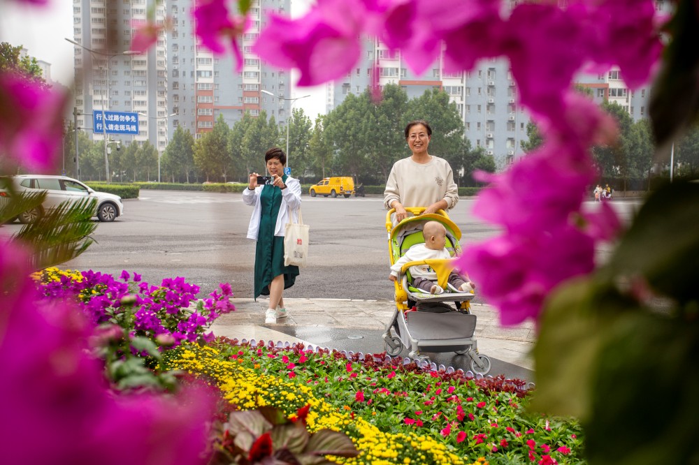 9月28日，市民在河北省邯郸市复兴区丰泽路的花坛合影留念。 聂长青摄