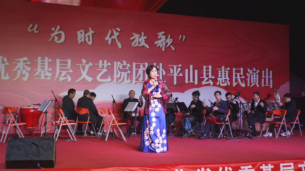 活动演出现场。 王文芳摄