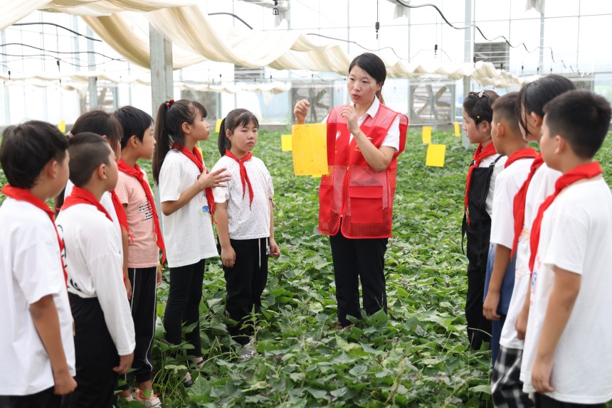 刘学茹为学生们讲解脱毒薯苗培育技术的应用。 王梓任摄