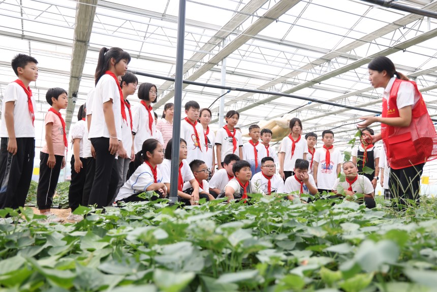 刘学茹为学生们讲解脱毒薯苗培育技术的应用。 王梓任摄
