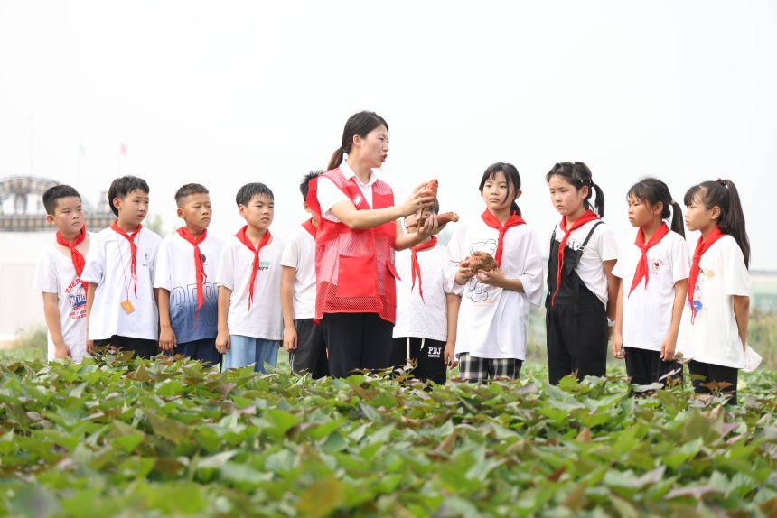 刘学茹为学生们讲解脱毒薯苗培育技术的应用。 王梓任摄