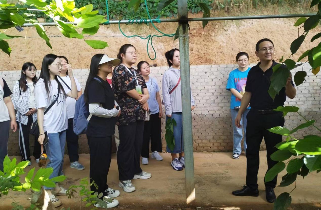 工作人员为大学生职业经理人讲解桑葚种植管理技术。 李凤华摄