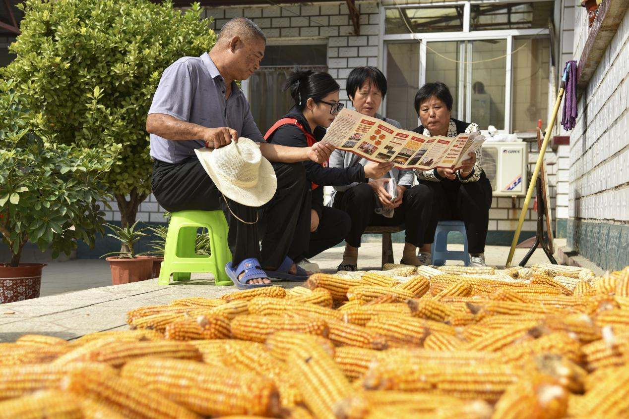 在文安县史各庄镇北辛庄村，宣讲员正在进行党的创新理论宣讲。 高丹钰摄