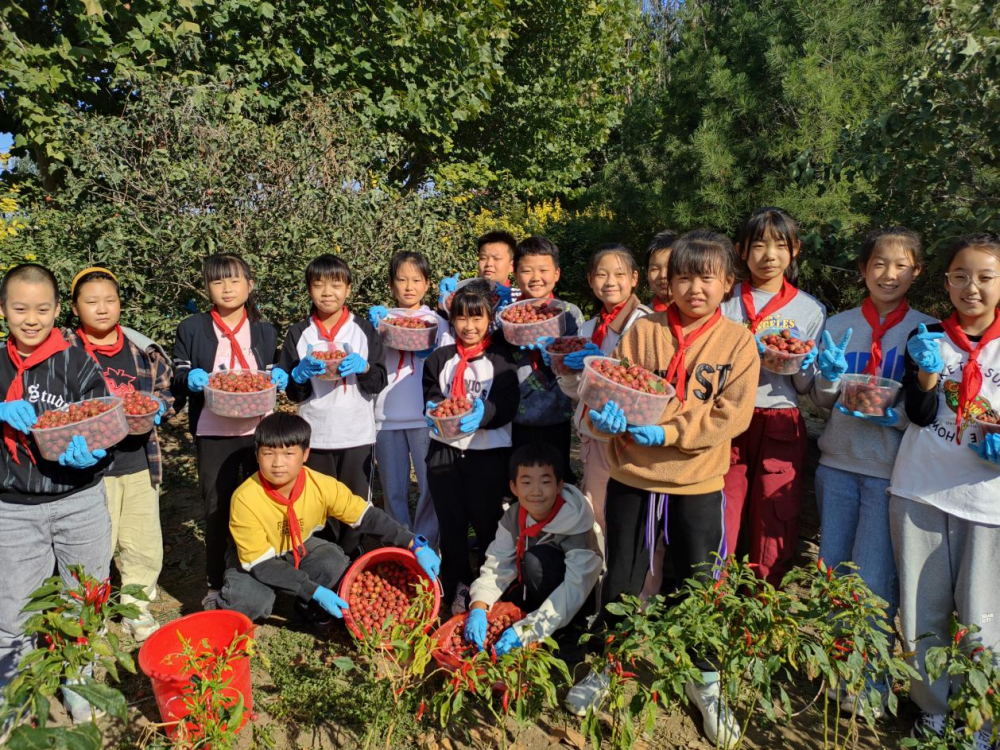 丰南区岔河中心小学学生通过采摘果实，享受丰收快乐。 孙艳芝摄