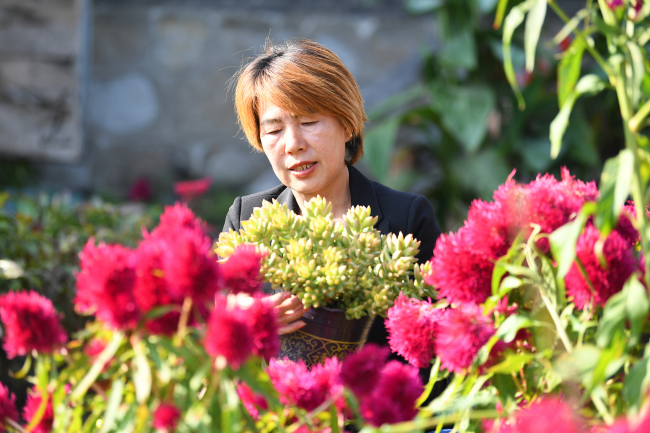 趙玉梅在打理花卉。 劉江濤攝