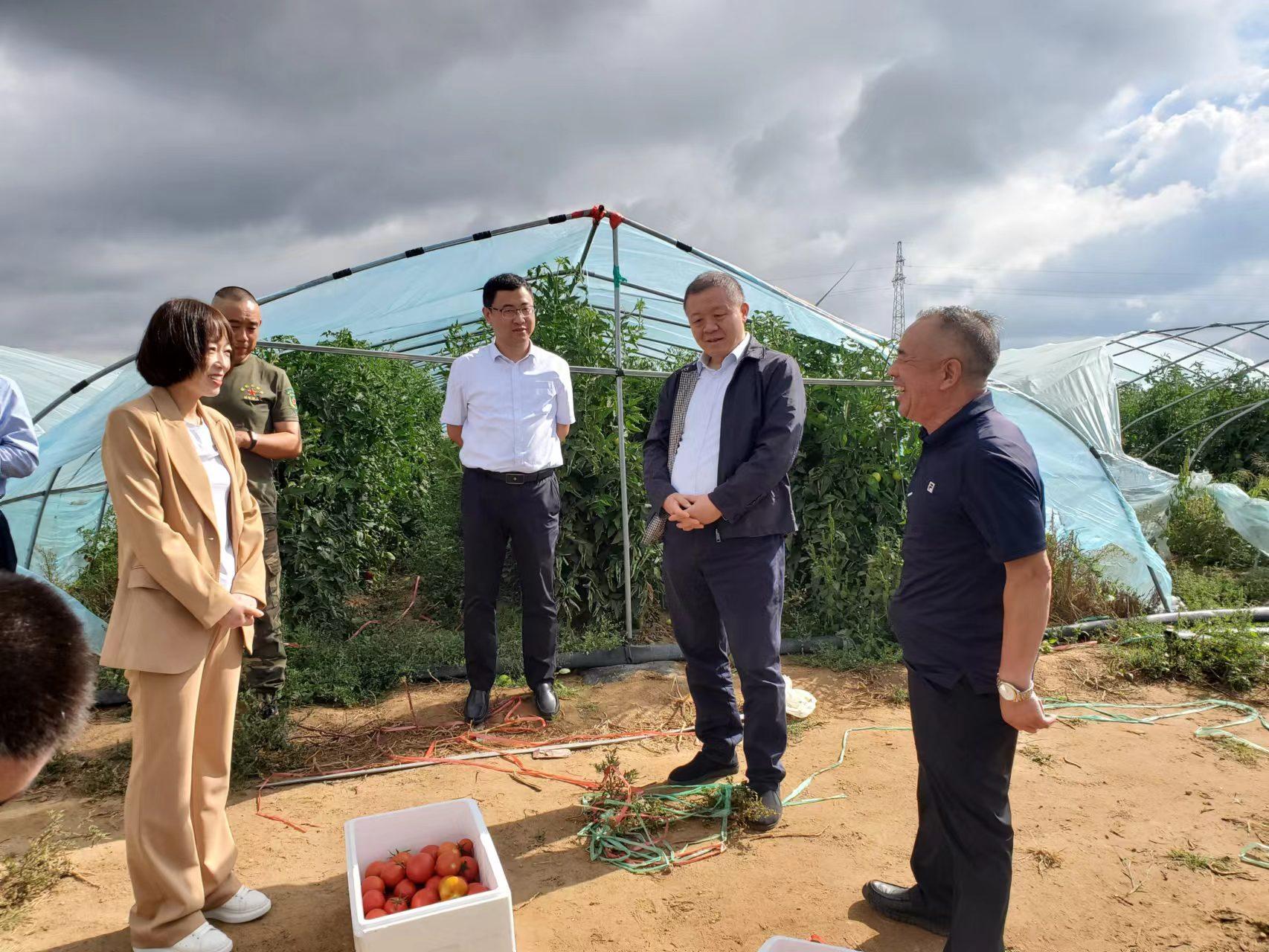 交通银行河北省分行行长刘清军赴定点帮扶村实地调研。 交通银行河北省分行供图