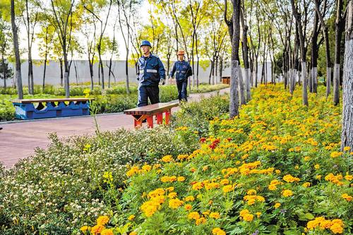10月19日，河北港口集团秦港股份九公司员工在“口袋公园”游览。 河北日报记者 赵 杰摄