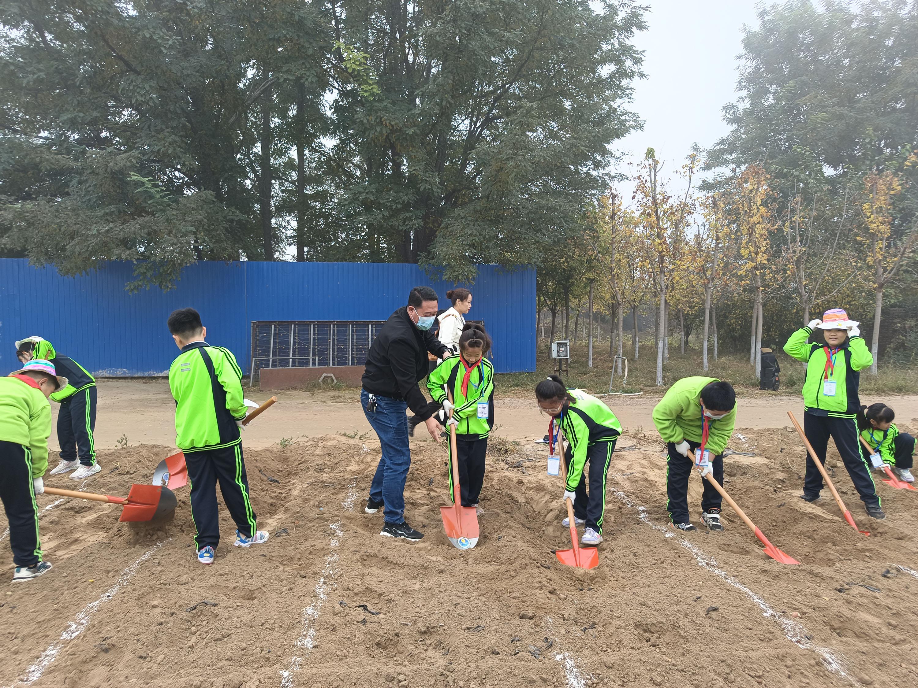 11月1日，在河北省高碑店市第八小學主題研學活動中，學生們在老師的指導下體驗農事勞作。 張艷華攝