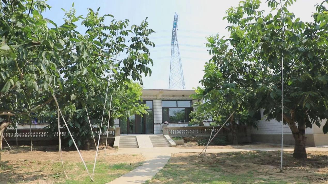 东文山镇杜家庄村村民庭院内的环境。 贾晨阳摄
