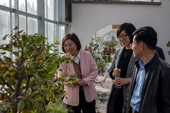 中國農大專家在徐水區神農現代農業園考察調研。 白天龍攝