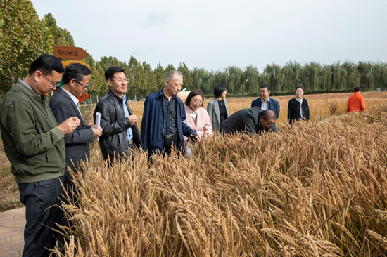 中國農大專家在徐水區神農現代農業園考察調研。 白天龍攝