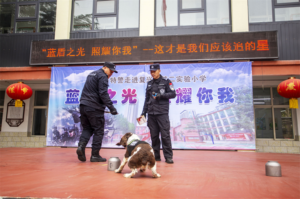 日前，河北省邯郸市公安局特警支队干警走进复兴区第二实验小学，开展警民共建安全教育活动，干警在进行警犬搜爆。 聂长青摄