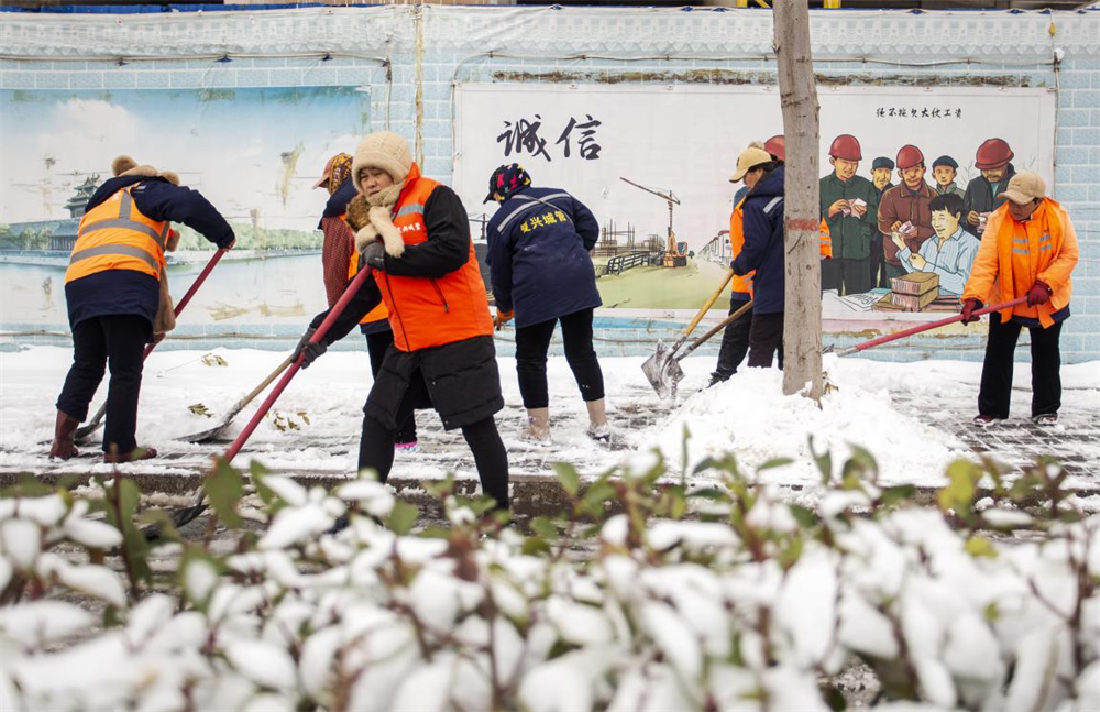 12月11日，河北省邯鄲市復興區城管局組織人員在豐澤路開展道路清雪活動，保障市民出行安全。 聶長青攝