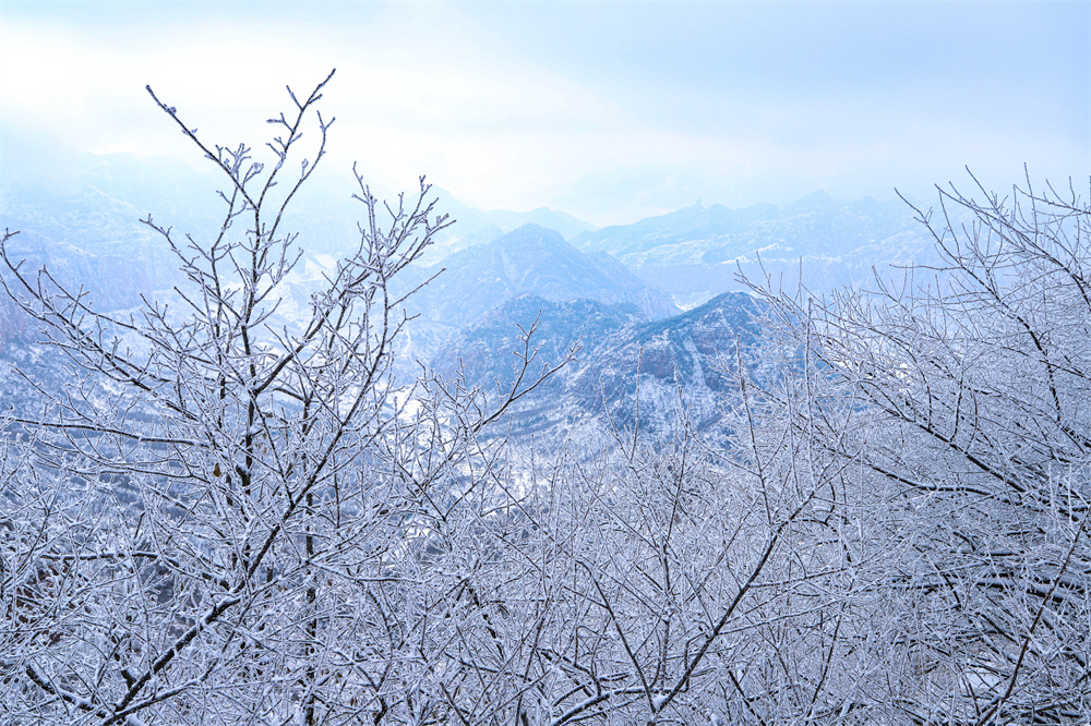 武安市長城生態旅游融合片區的霧凇雪景。 郭文朝攝