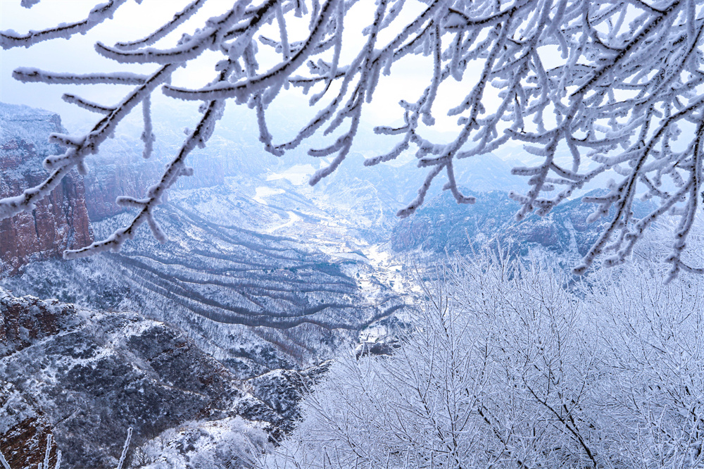 武安市長城生態旅游融合片區的霧凇雪景。 郭文朝攝