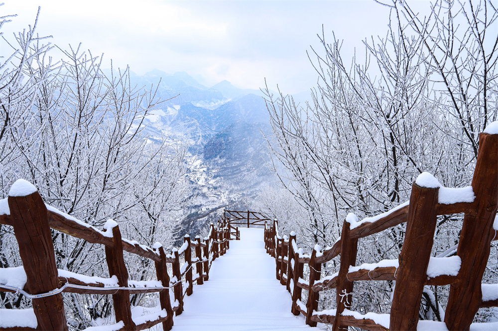 武安市長城生態旅游融合片區的霧凇雪景。 郭文朝攝