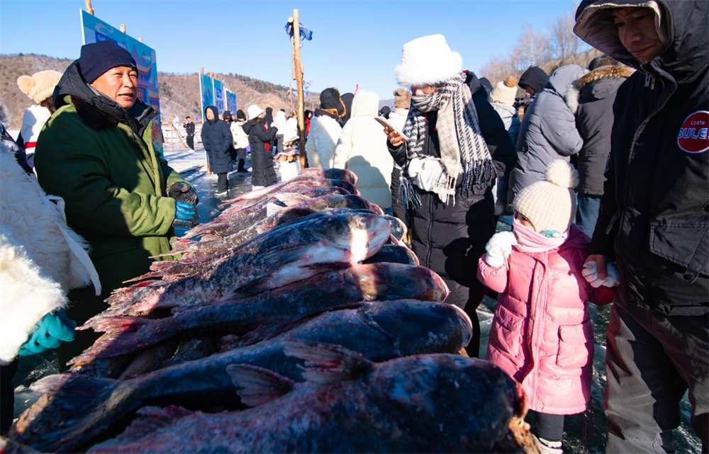 河北省围场满族蒙古族自治县兰旗卡伦乡钓鱼台水库,市民在冬捕现场的渔猎市集选购鲜鱼。 孙占军摄