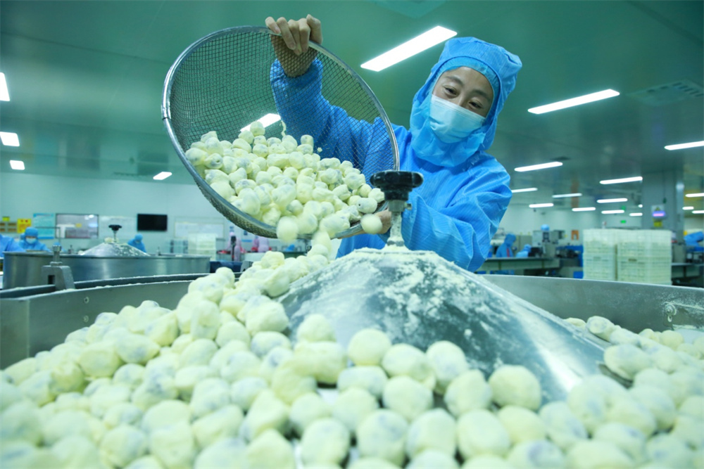 1月5日，在河北滄縣的一家棗加工企業內，工人正在奶棗產品生產線上工作。  殷實攝