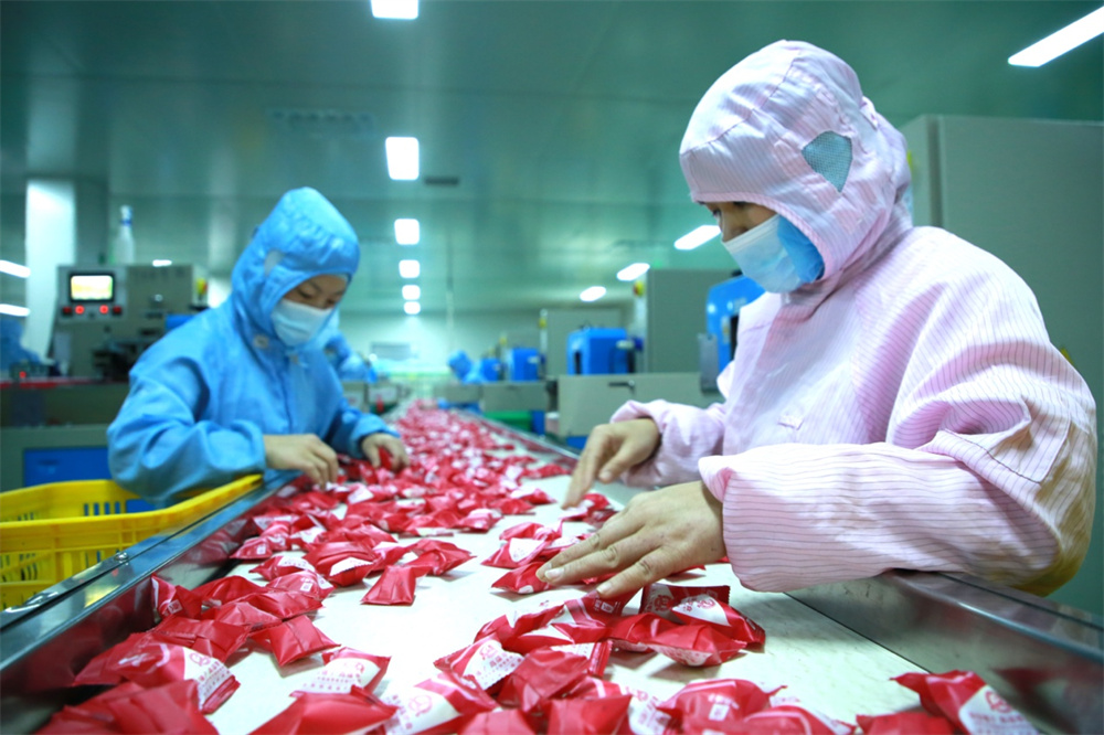 1月5日，在河北滄縣的一家棗加工企業的內包車間內，工人正在忙碌工作。  殷實攝