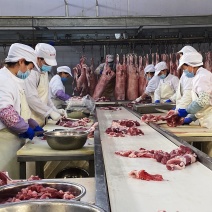 邱县牛羊肉产业