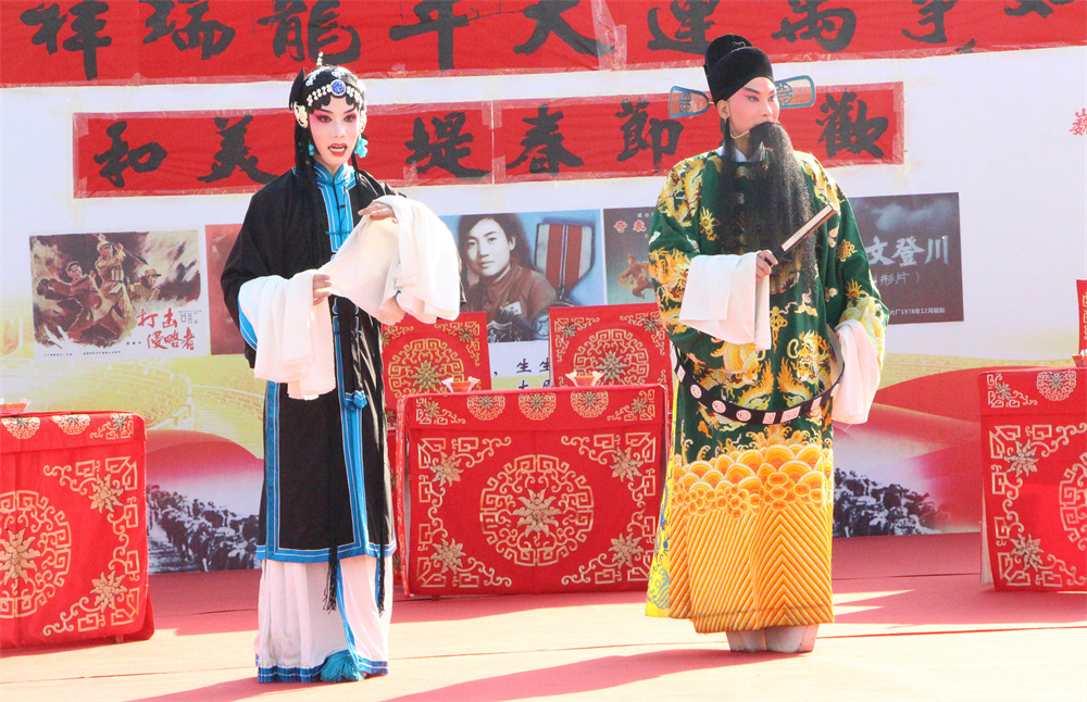 2月15日,高阳县于堤村戏曲演出现场。李敏摄