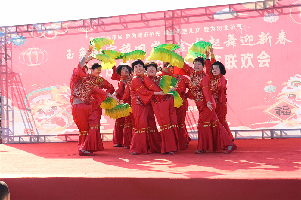 2月15日,高阳县博士庄村春节联欢会现场。司秀花摄