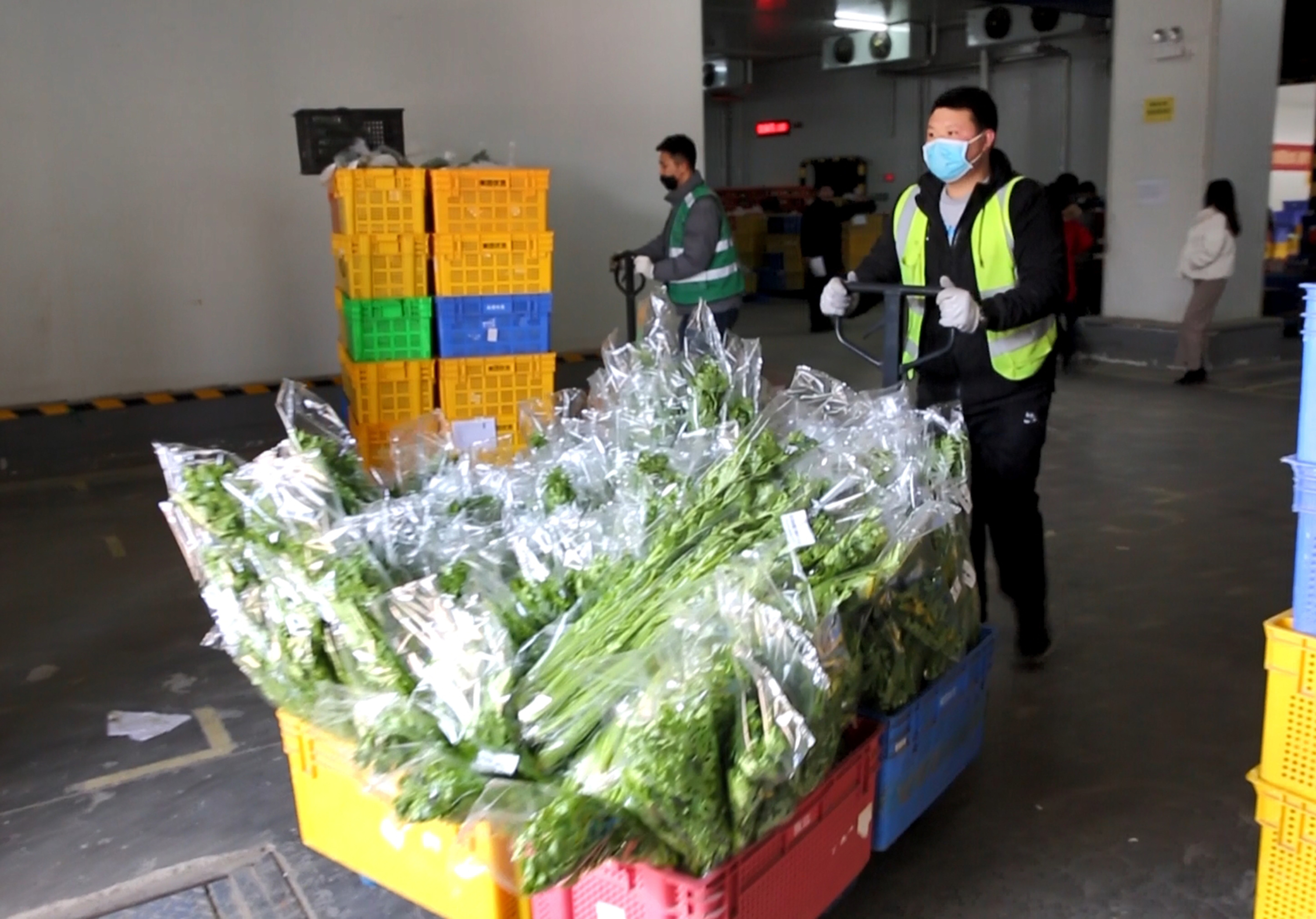 2月18日，在河北省高碑店市汇通图腾物流园区1号仓库内，工人正在搬运分装好的蔬菜。杨志永摄