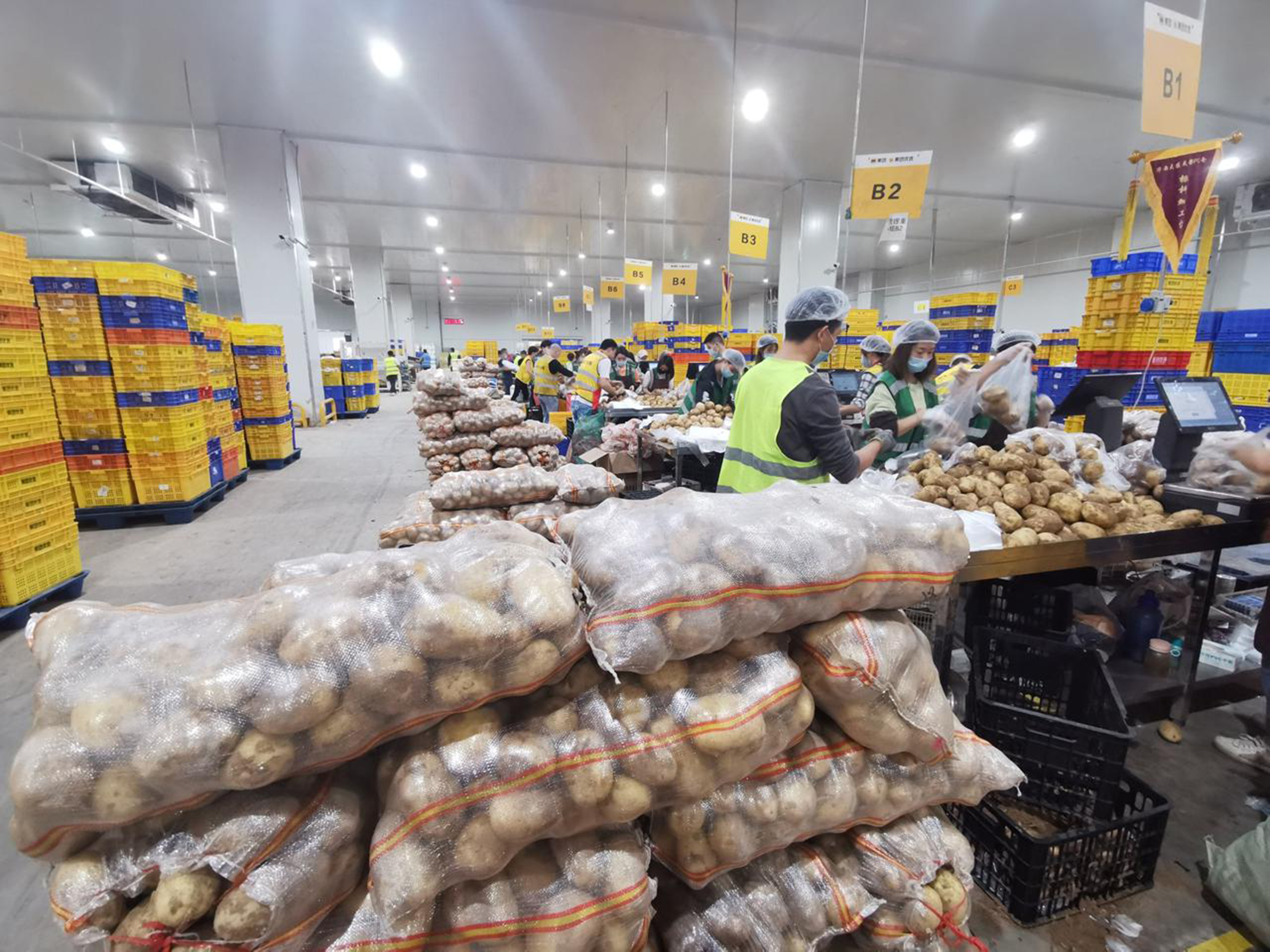 2月18日，在河北省高碑店市汇通图腾物流园区1号仓库内，工人们正在分装蔬菜。杨志永摄