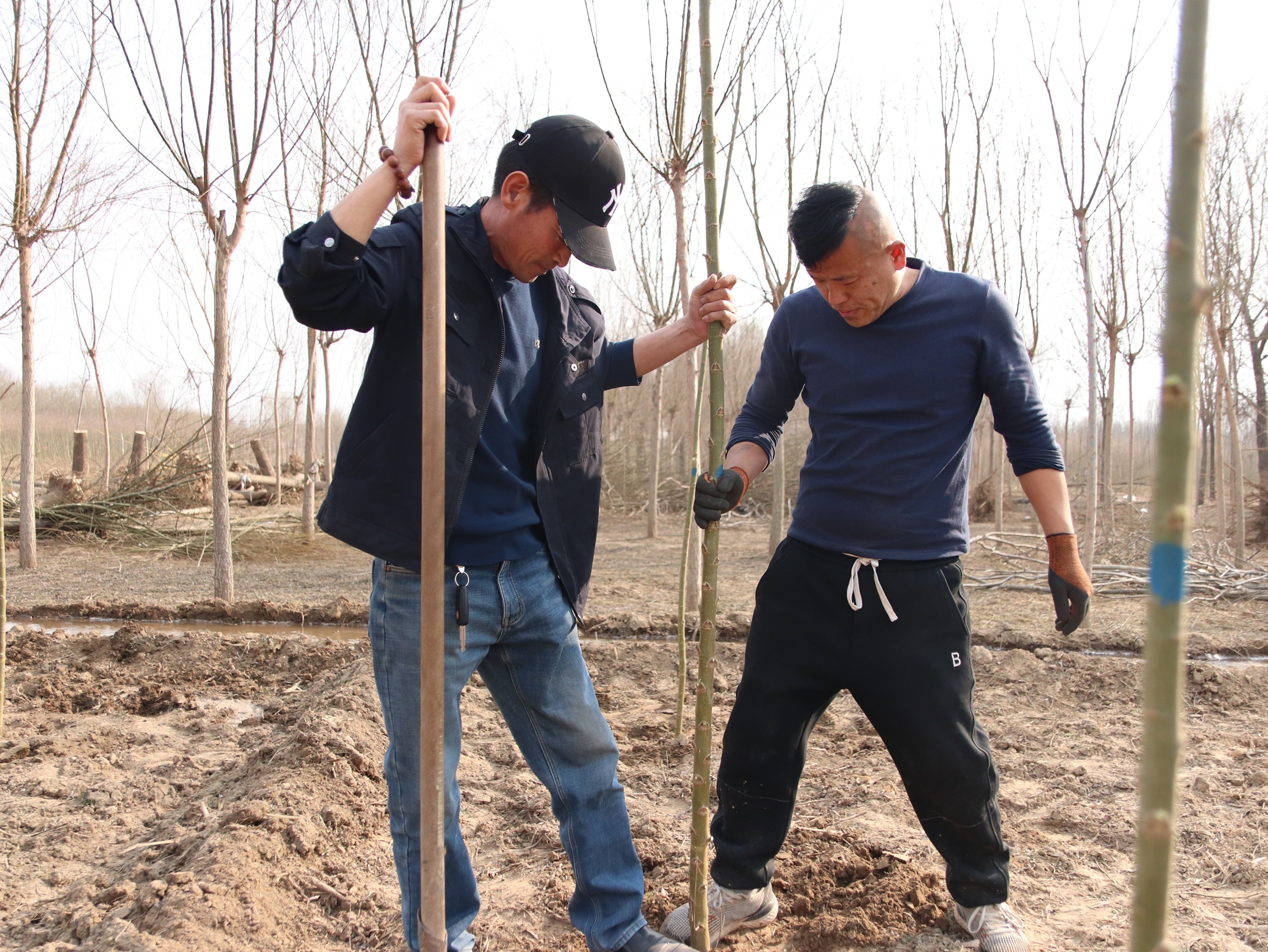 志願者們一起種樹。吳若涵攝