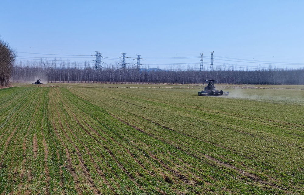 三河市齐心庄镇三福庄村麦田，驾驶员进行镇压作业。王金艳摄