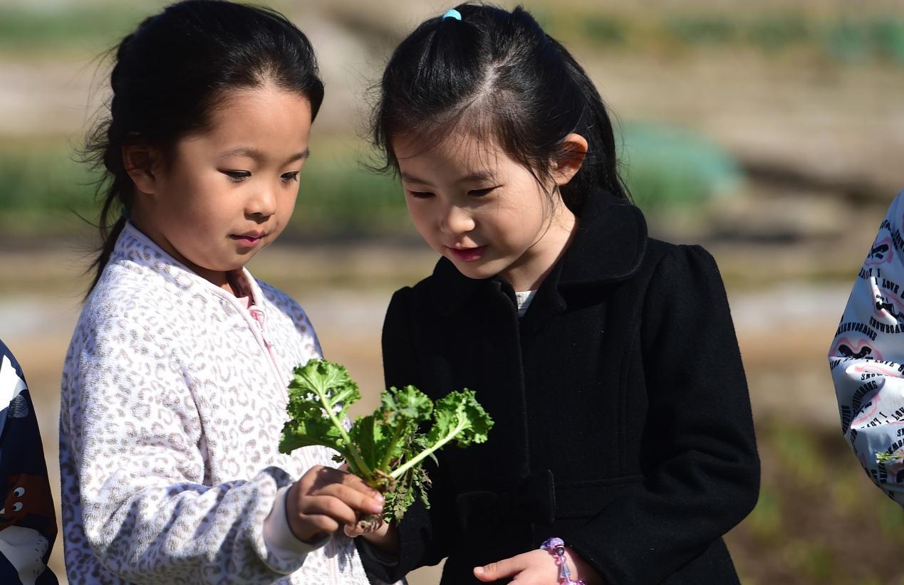 兩個孩子在觀察採挖的野菜。傅新春攝
