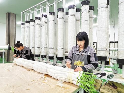 3月1日，位於滄州高新區的海派特膜科技（河北）有限公司組裝車間內，工人正在組裝柱式膜組件。（本報資料片） 河北日報記者 王雅楠攝