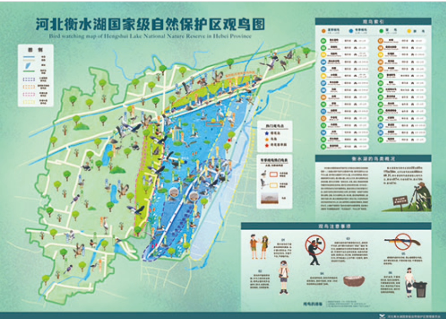 3月21日推出的衡水湖國家級自然保護區觀鳥圖。 衡水濱湖新區供圖
