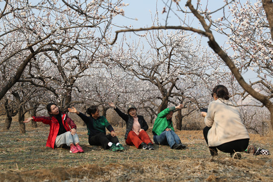 游客在杏花林裡踏青賞花。趙端攝