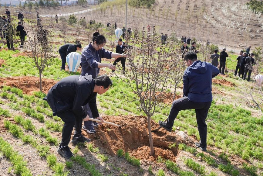 機關干部在金嶺礦山公園栽植海棠。陳儒攝