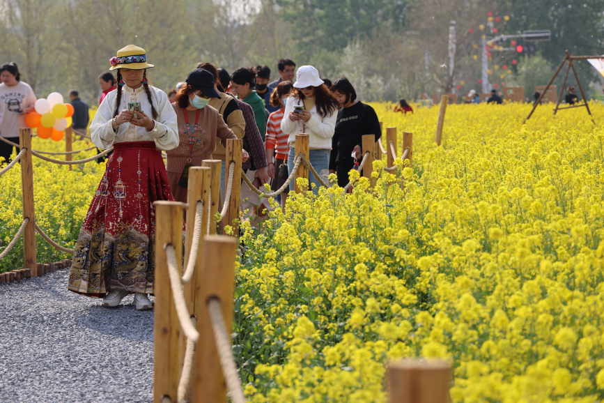在石家庄市橋西區“原野PARK”城市口袋公園,游客們結伴賞花游玩。董璐攝