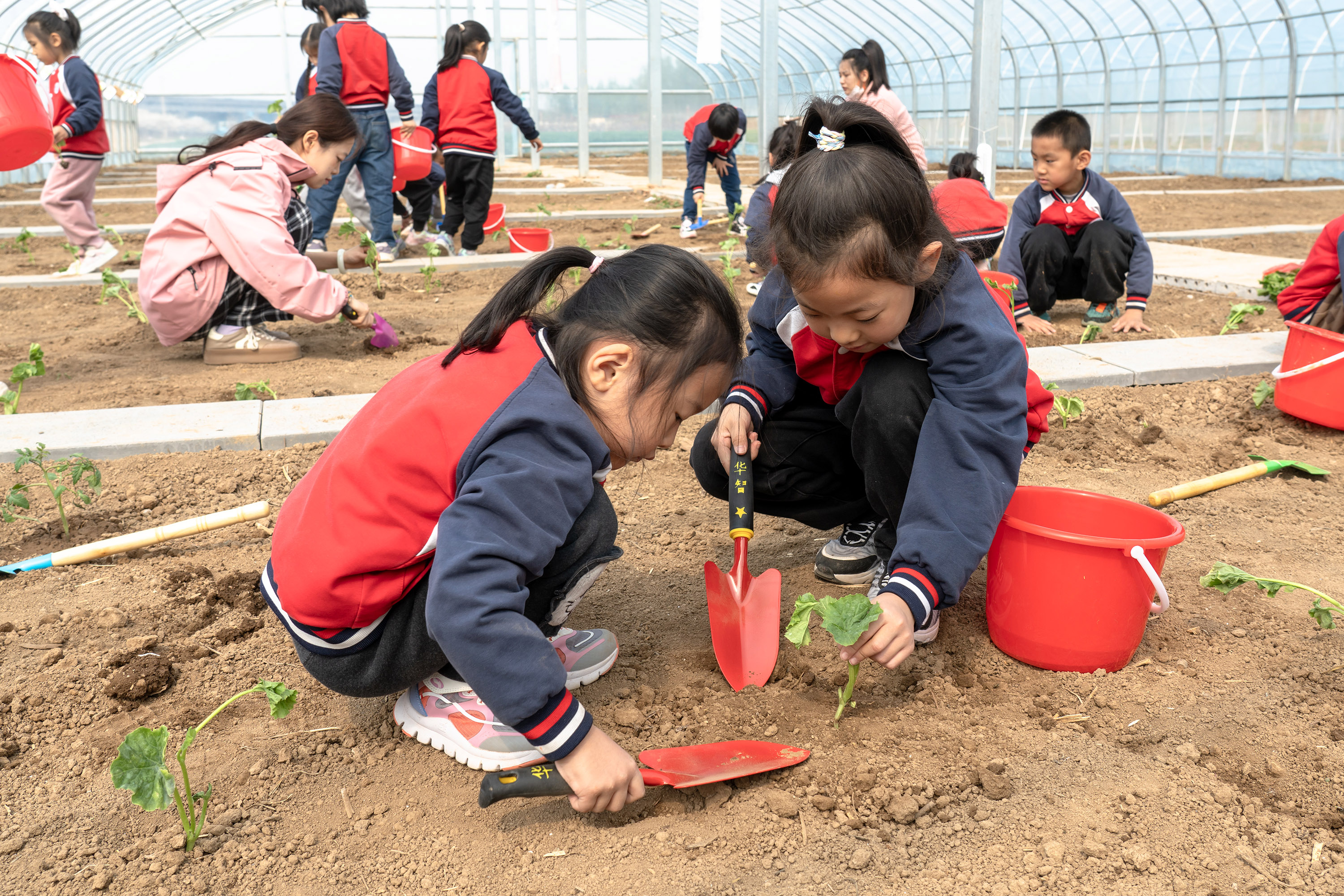 4月9日，高陽縣宏潤幼兒園小朋友走進閑野農庄開展種植實踐活動現場。司秀花攝