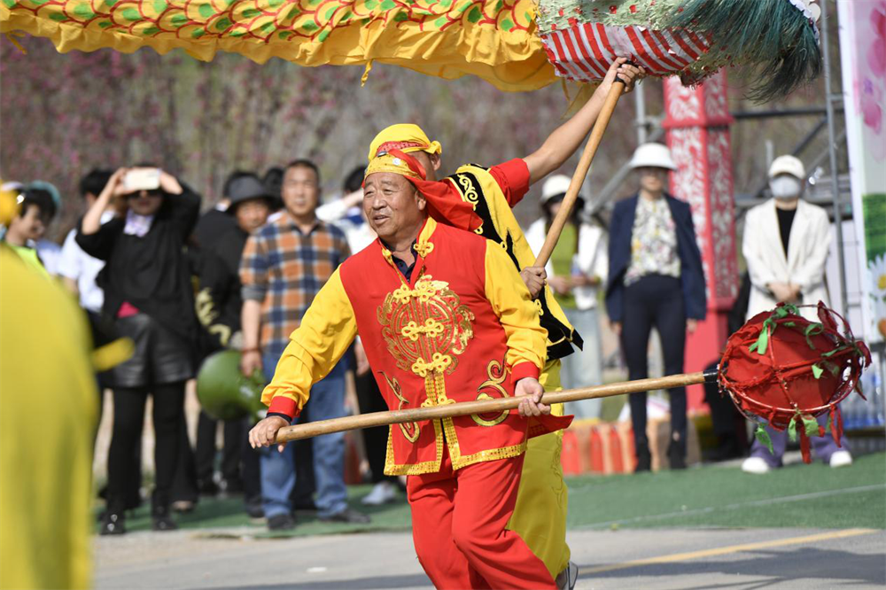在文安县孙氏镇绿海天成万亩林果基地樱花园，当地文艺工作者正在表演舞狮。王晖摄