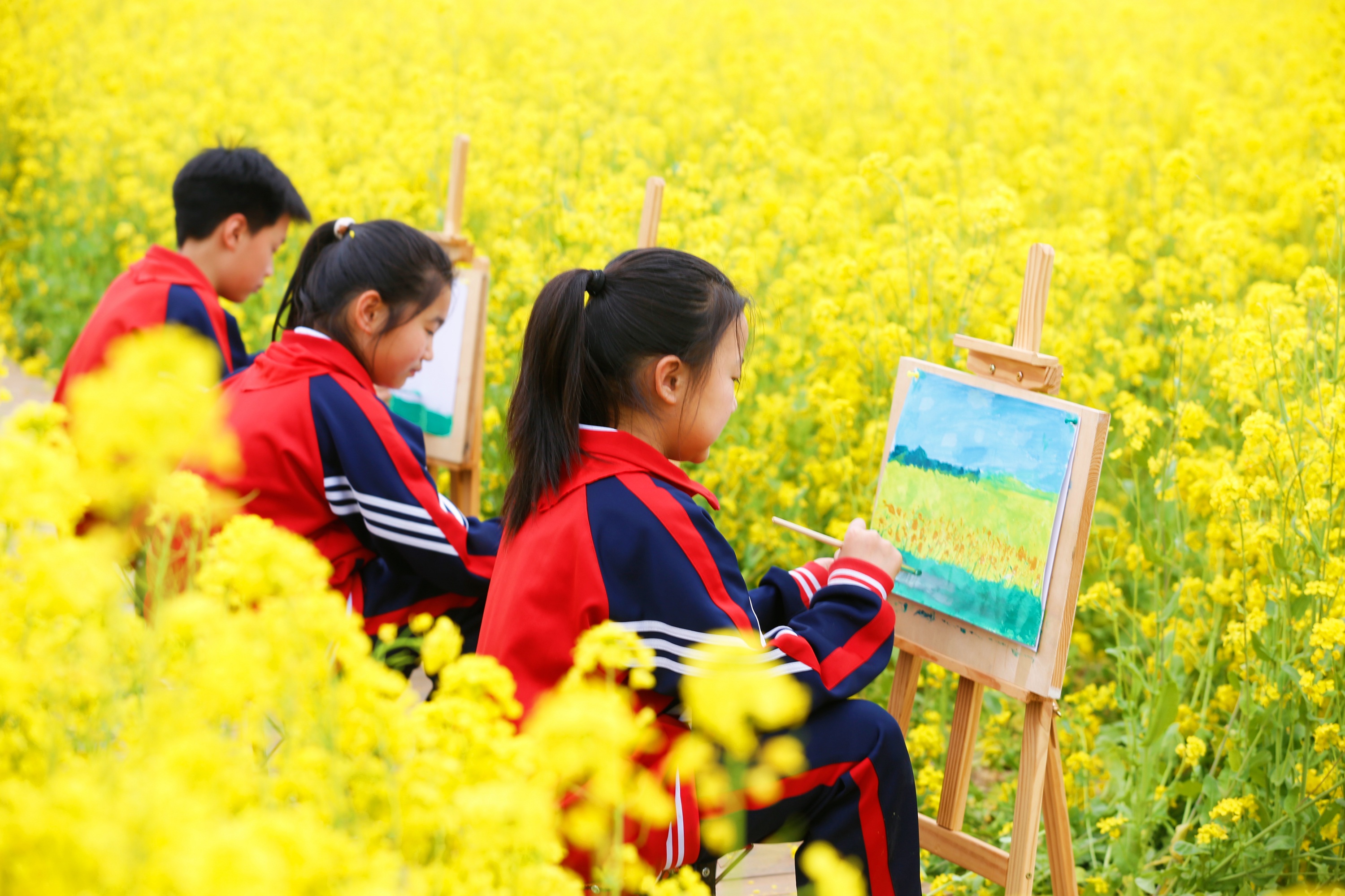 4月13日，小学生在油菜花田里写生。田素然摄