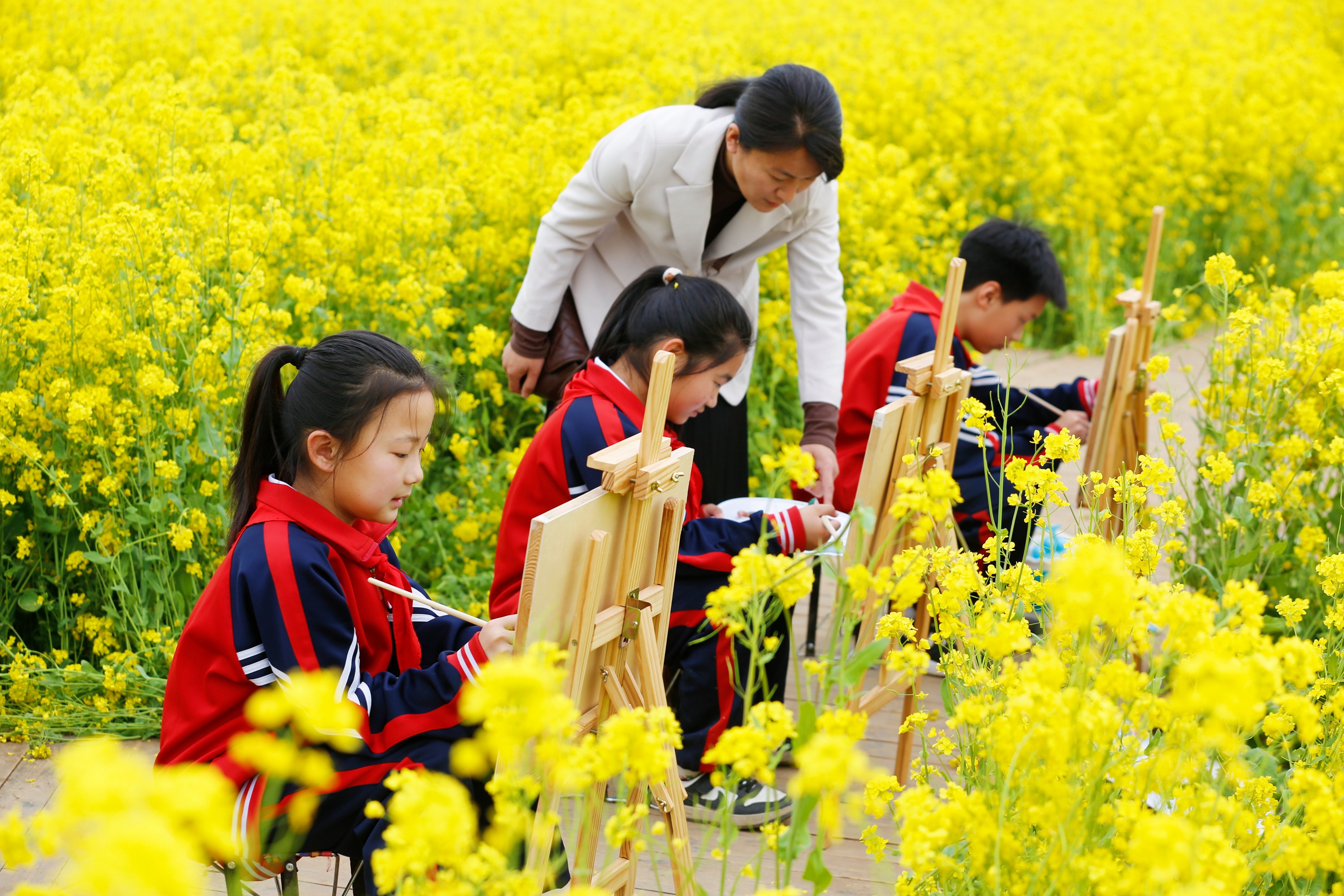 4月13日，教师指导小学生在油菜花田里写生。田素然摄