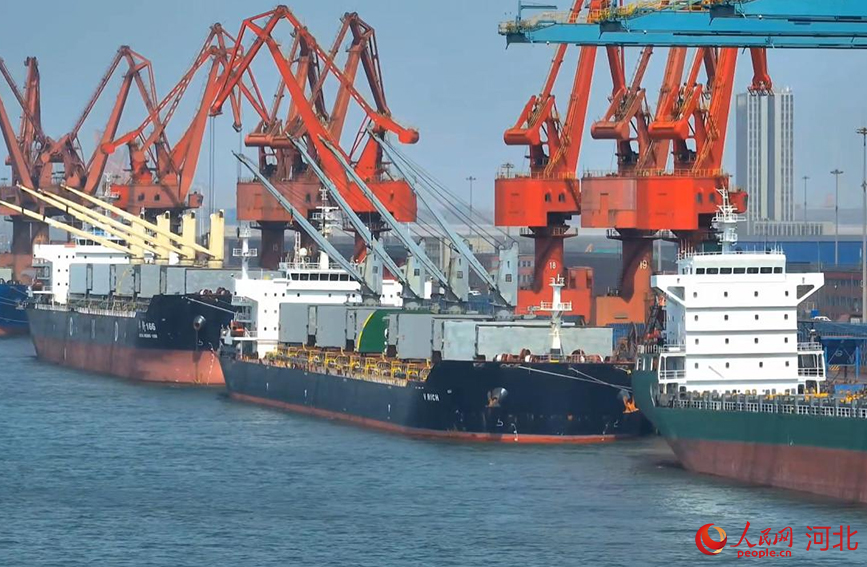沧州黄骅港综合港区散货码头正在进行卸货作业。人民网记者 赵明妍摄