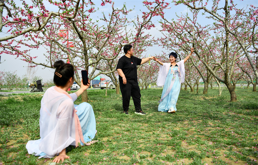 4月12日，游客在桃树下打卡拍照。马鹏程摄