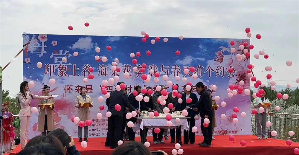 “印象上谷 海棠花季”賞花活動現場。王輝攝