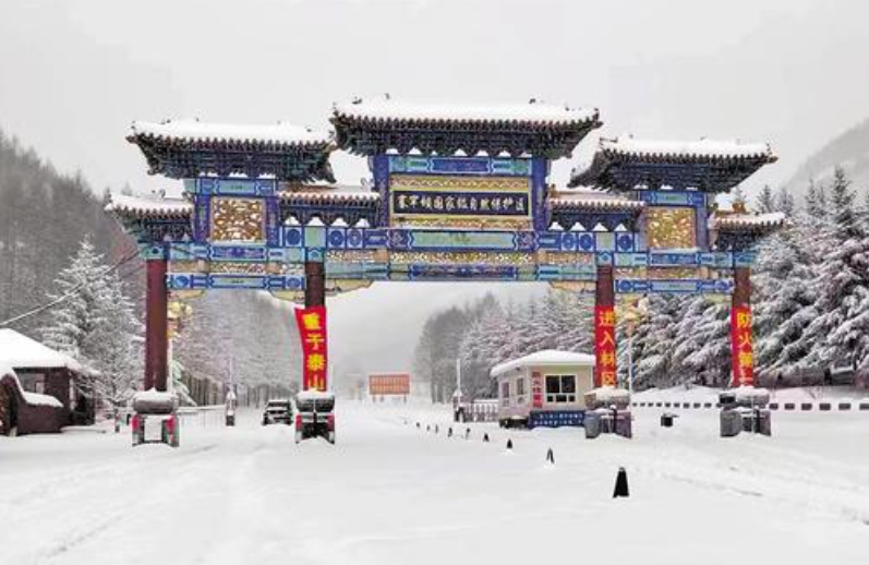 4月28日，塞罕坝机械林场道路被积雪覆盖。河北日报通讯员王龙摄