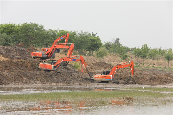 5月4日,河北滄州南排河滄縣段治理工程正在進行中,挖掘機正在為河道清淤、加固堤防。陳衛民攝