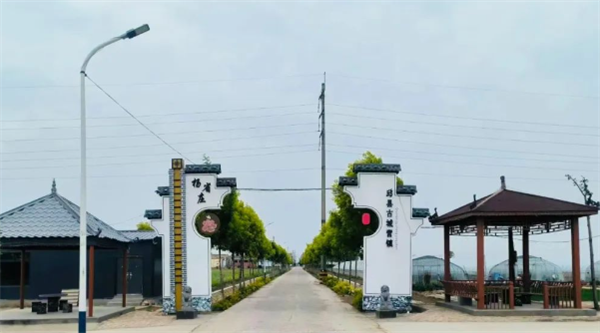 古城营镇杨省庄村入村路干净整洁。申珍珍摄