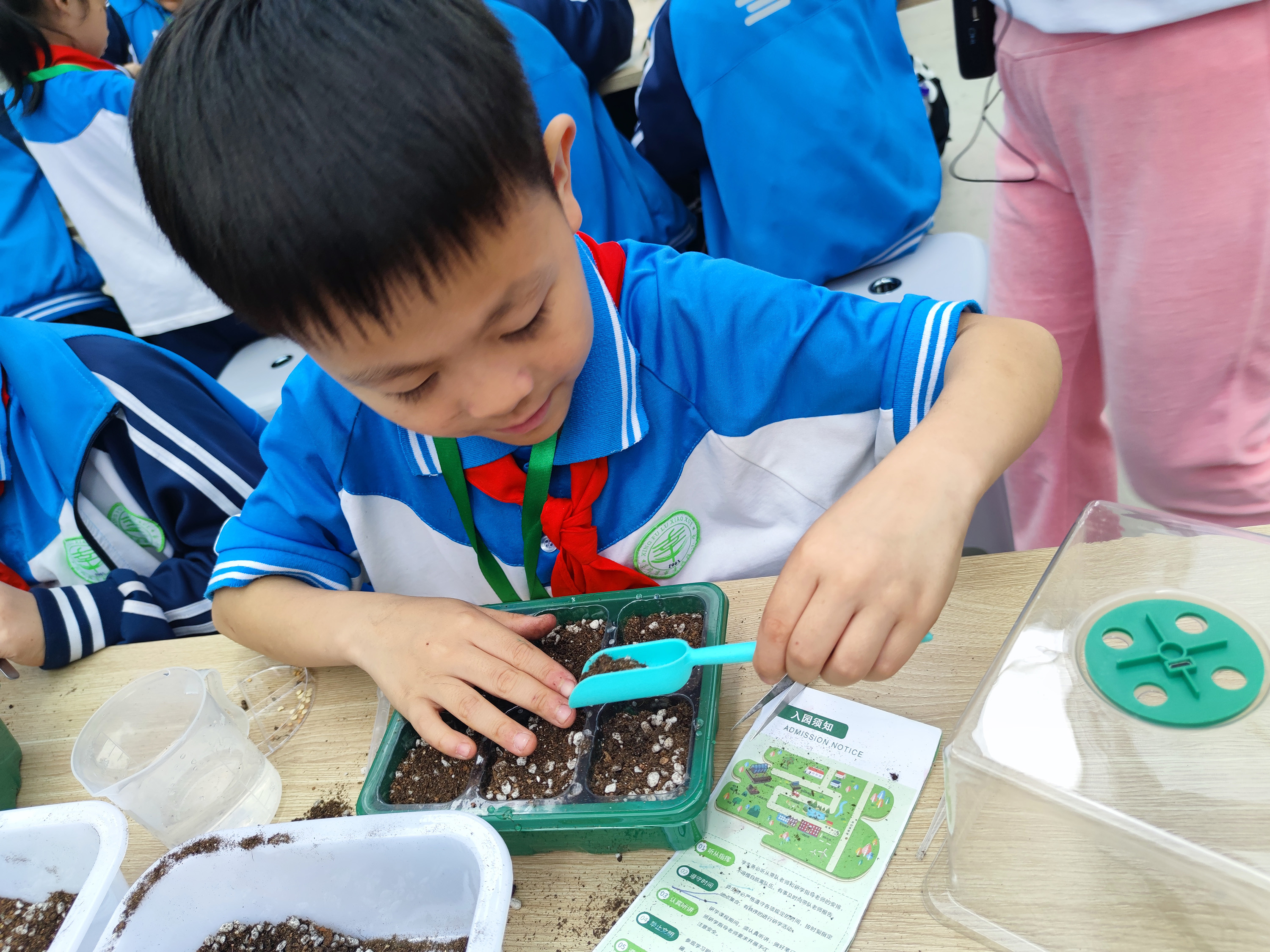 近日，河北省高碑店市幸福路小學研學實踐教育活動中，學生動手制作育苗箱。王坤攝