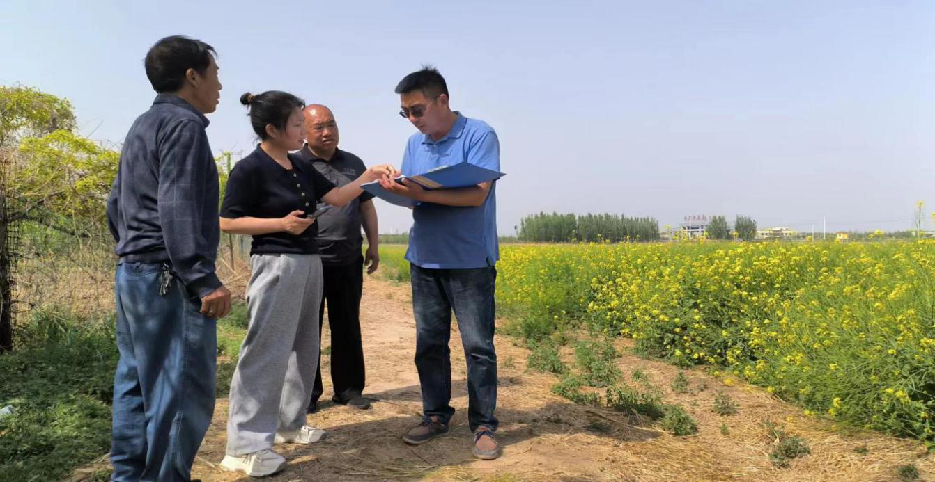 任丘市农业农村局组织农技人员深入田间地头，指导“一喷三防”操作技术和注意事项。宋彦平摄