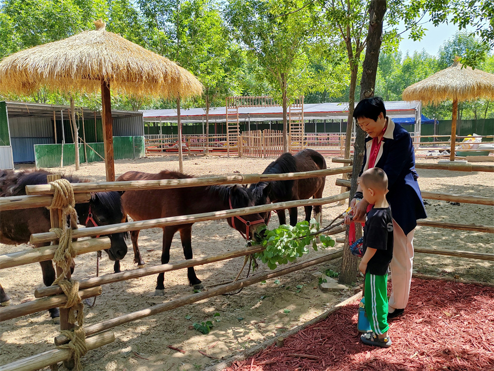 5月13日,在河北省高碑店市泗庄镇德林庄村的德林营地,群众正在投喂小动物。朱珊珊摄